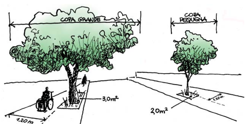 Árboles ideales para plantar en tu vereda – mundonuevo.cl