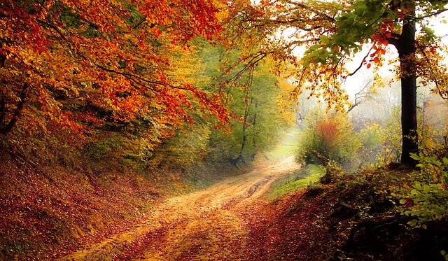 road-1072823_640
