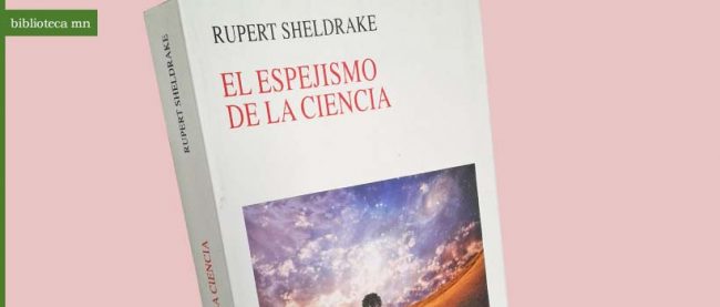 biblioteca-1