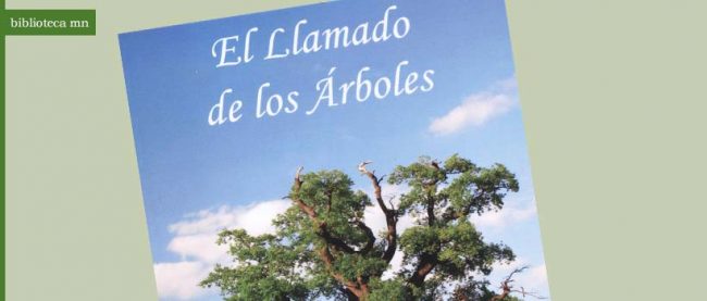 biblioteca-2
