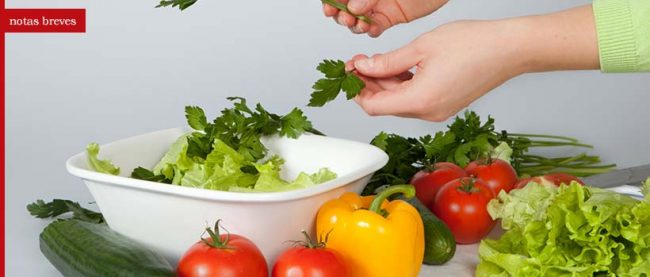 vegetariano02