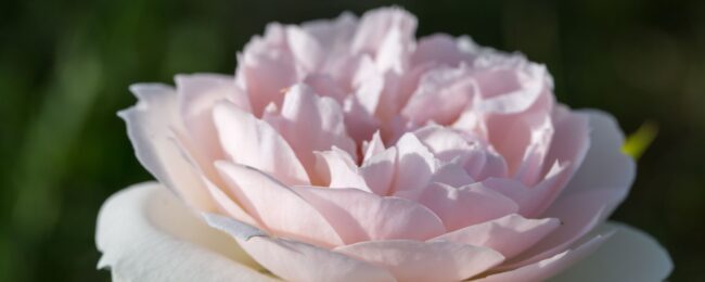 Regalos con Sentido (2000 x 800 px) (2)