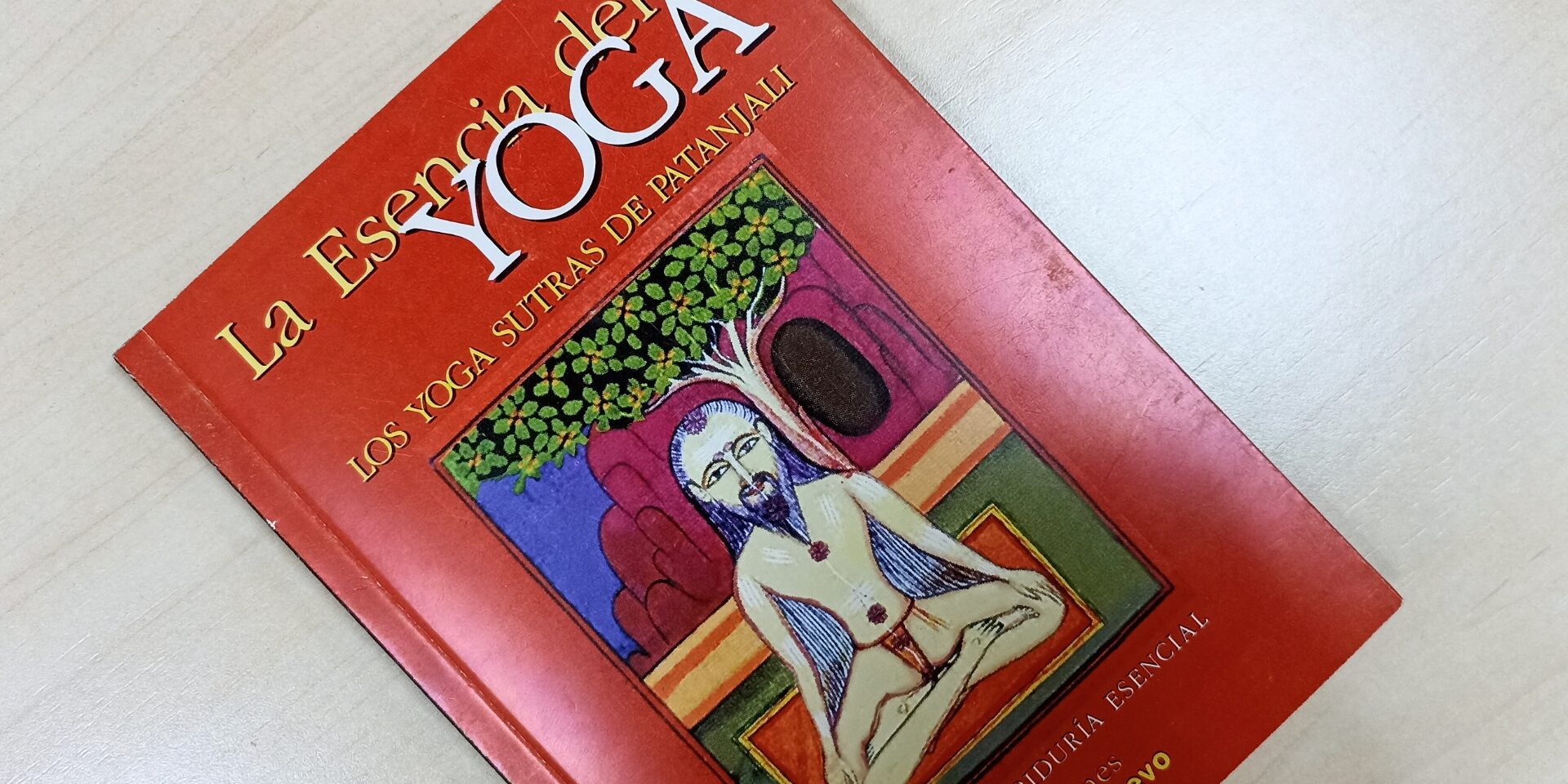 El camino del yoga según el maestro Patanjali