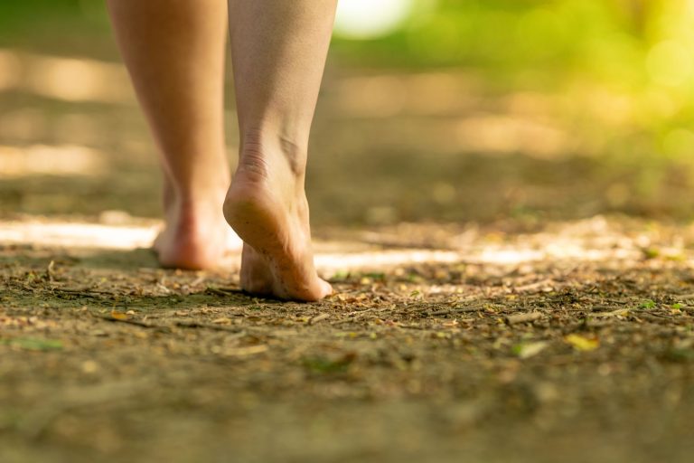 earthing grounding baño de bosque