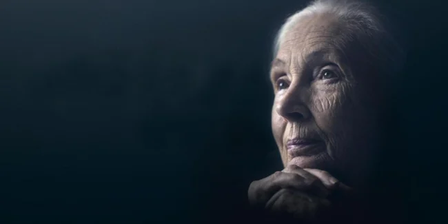 jane goodall